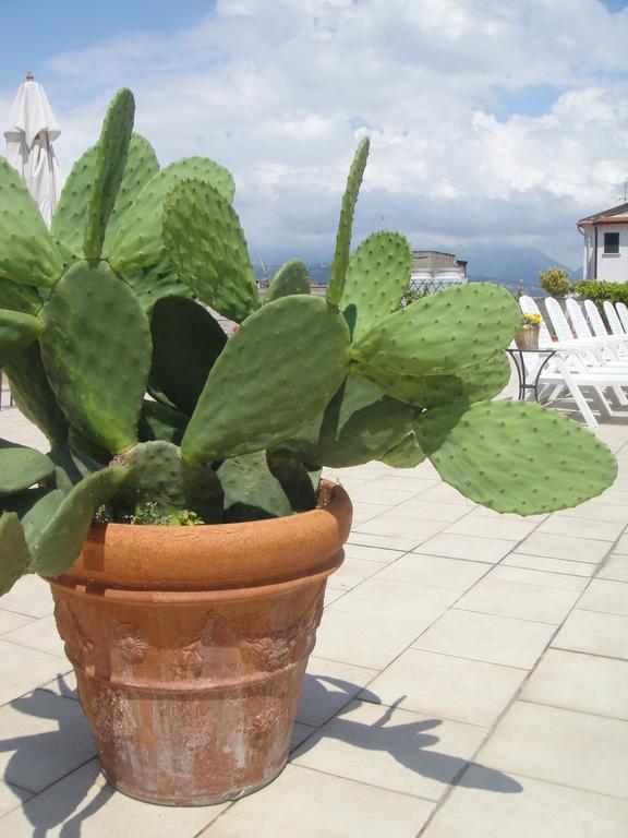 Hotel Garden Viareggio Exterior foto